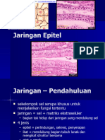 Epithelial Tissue - En.id