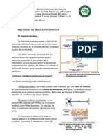 Momento: I Guía: 2 Mecanismo de Regulación Nerviosa: Figura 1 Estructura Básica de Una Neurona. (Tomado de