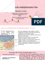 Exposicion Rel, Biologia