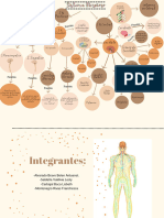 Mapa Mental Sistema Nervioso.