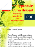 Vulva - Hygient (1) (Read-Only)