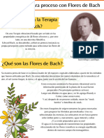 Información y Encuadre para Proceso Con Flores de Bach