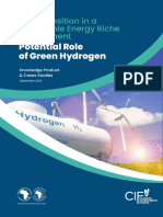 Potential Role of Green Hydrogen 003