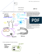 Cell Transport