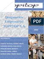 Diagnostico Empresarial Topitop S.A