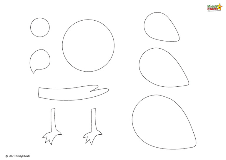 Parrot Template | PDF