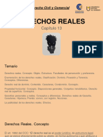 Capitulo 13 - Derechos Reales