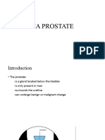 Prostate Cancer 1