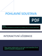 Pohlavní Soustava