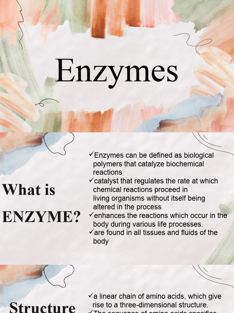 Lesson 11 Enzymes PDF Cofactor (Biochemistry) Enzyme