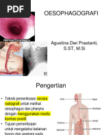 Anatomi Lengkap Esofagus | PDF