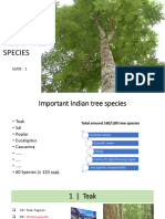 Tree Species - P1