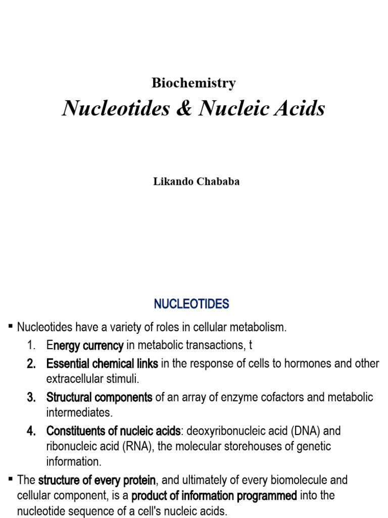 Nucleotides and Nucleic Acids Overview | PDF | Rna | Dna