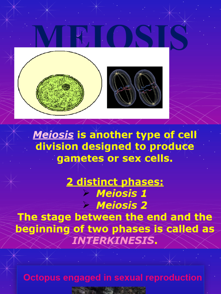 Reproductions Master Key The Amazing Power Of Meiosis - qetlyym