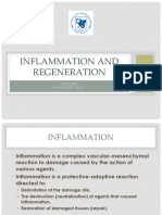 5 Inflammation Regeneration