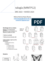 D08 04 Clase Mineralogia