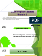Tema 09 - Embriologia Aparato Urinario II - Dr. Ortega