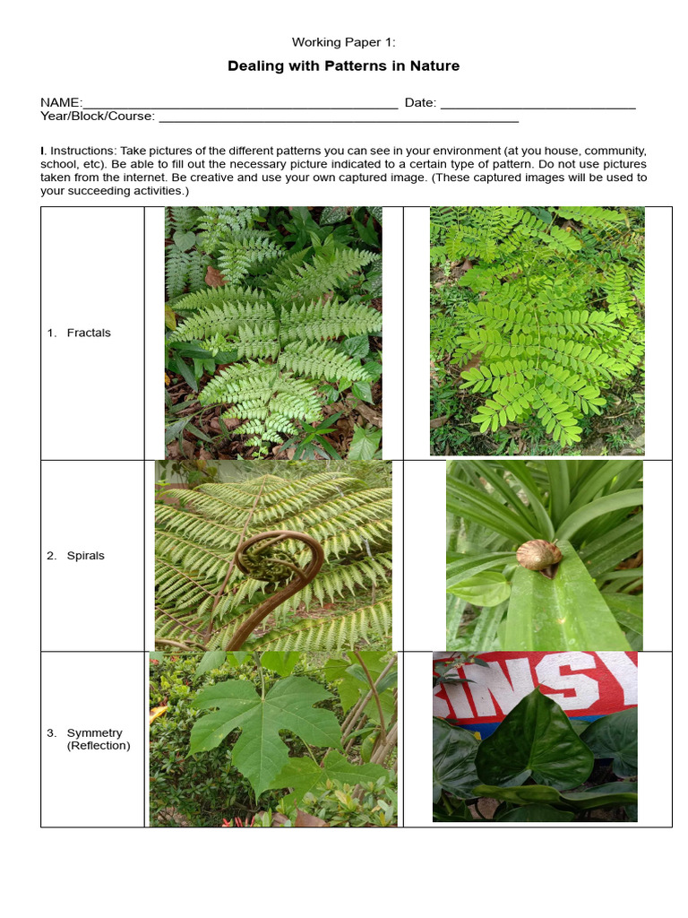 Working Paper 1 - MMW | PDF | Pattern | Nature