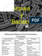 Bacterias