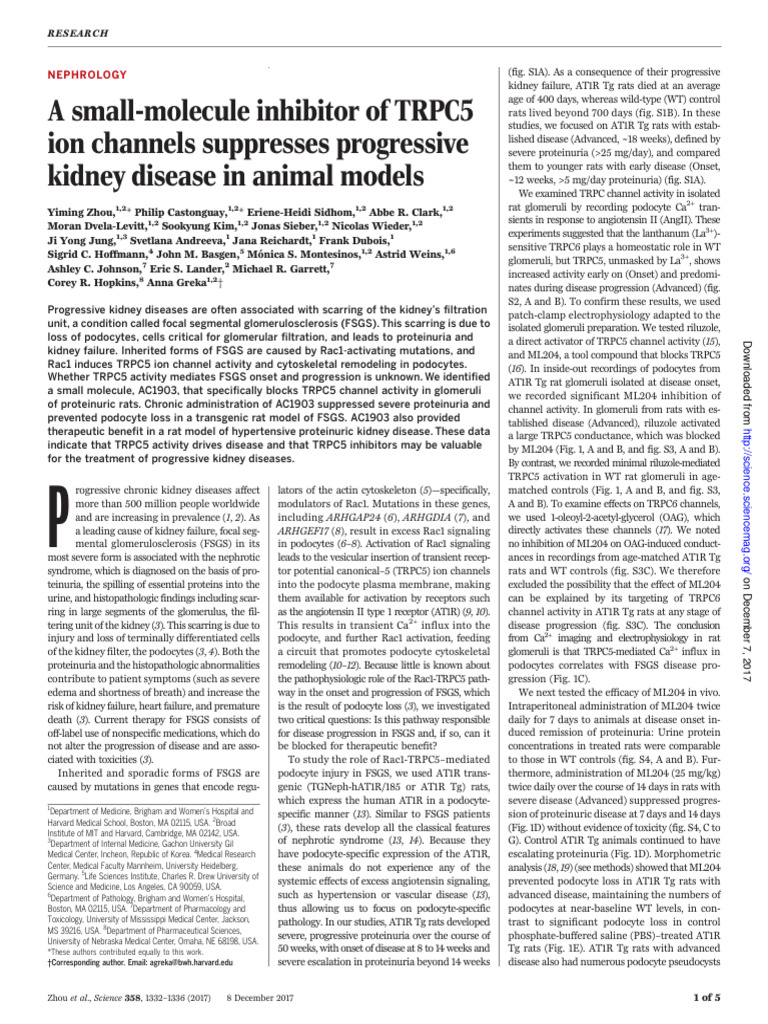 A Small-Molecule Inhibitor of TRPC5 Ion Channels Suppresses Progressive ...