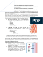 Tema 1 - Estructura General Del Aparato Digestivo