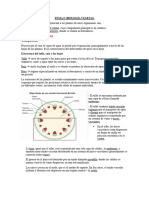 APUNTES TEMA 9 Biología NS IB