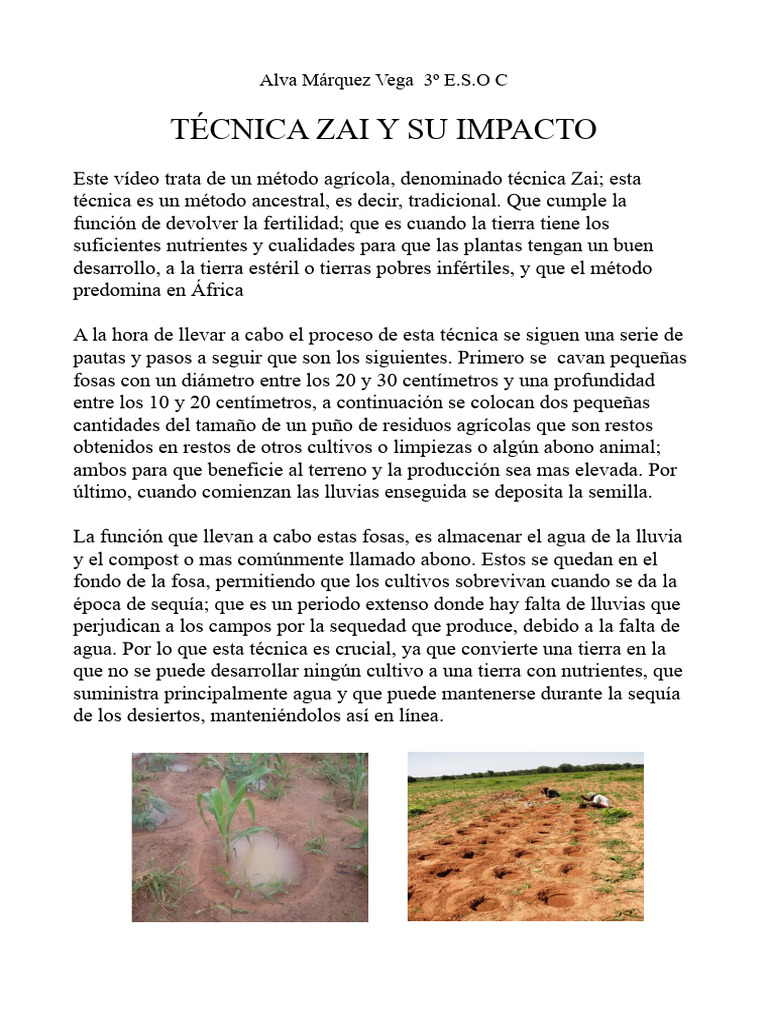 Técnica Zai: Fertilidad en África | PDF | Agricultura | Clima