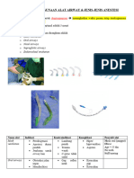 Airway Summary Ahay