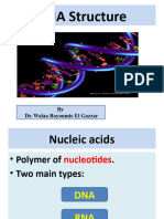 Lecture 1-DNA Structure