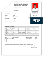 Ryan CV