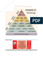 Pyramid of Learning