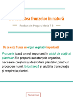 Diversitatea Frunzelor În Natură