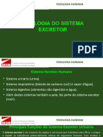 Aula 7 - Fisiologia Sistema Excretor