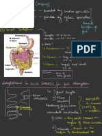 Digestion 4