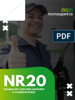 nr20 Minaspetr