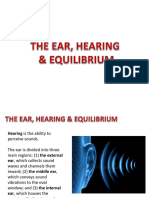 Lab 23 The Ear Hearing Balance