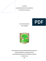 Download Laporan Kultur Jaringan Buk Wiwik Hardaningsih by Nanda Juliadi SN68964259 doc pdf