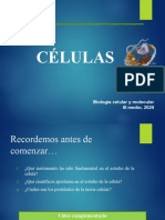 Células 1