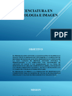 Lic. en Radiologia e Imagen Instituto de Ciencias y Estudios Superiores de Tamaulipas, A. C.