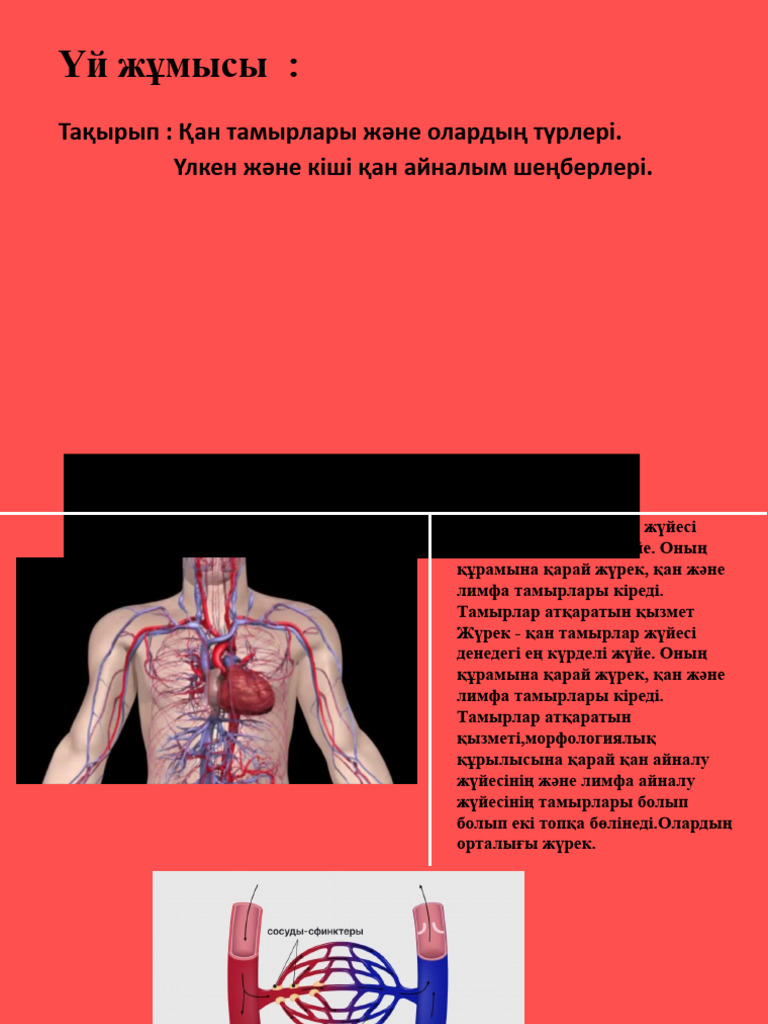 Лифттегі орысша порно