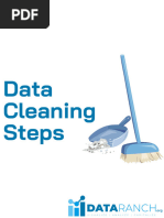 Data Cleansing Steps