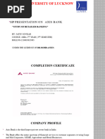 Axis Bank's Core Values Explained | PDF