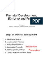 Embriogenesis Lengkap Pada Bayi