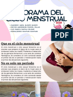 Panorama Del Ciclo Menstrual