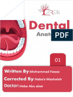 Dental Anatomy Sheet No.1