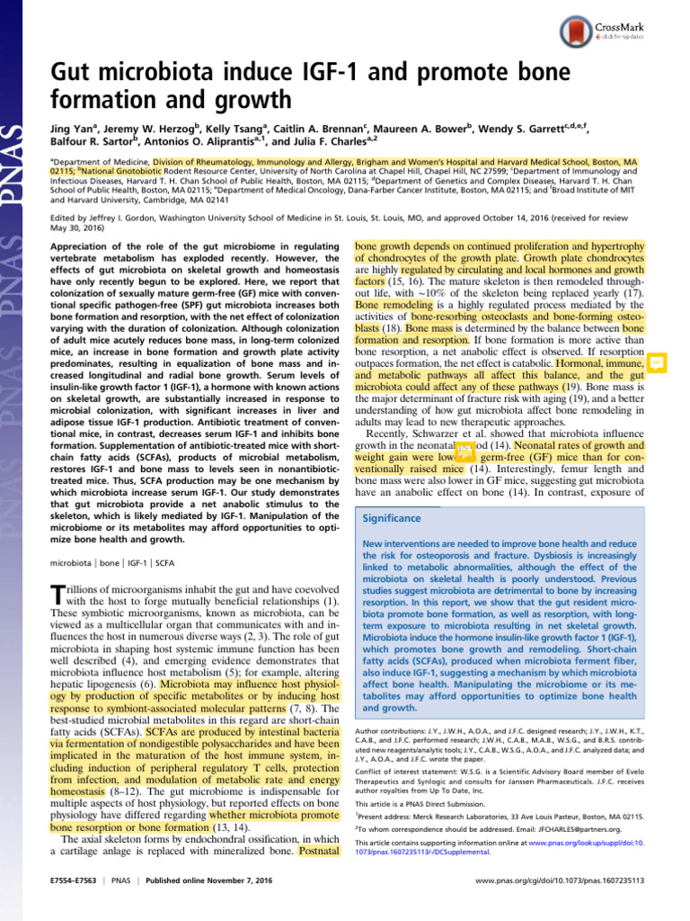 Gut Microbiota Induce IGF-1 and Promote Bone Formation and Growth | PDF ...