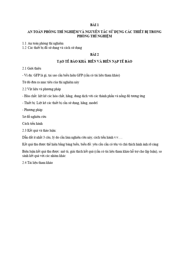 Huong Dan Viet Bao Cao TN | PDF
