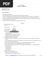 12 Biology sp06