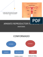 Aparato Reproductor Femenino