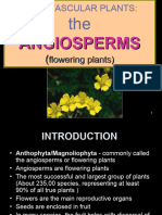 11TH PLANTAE~seed plants angiOSPERM